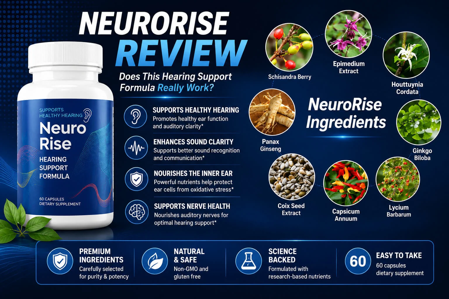 NeuroRise Review (2026)